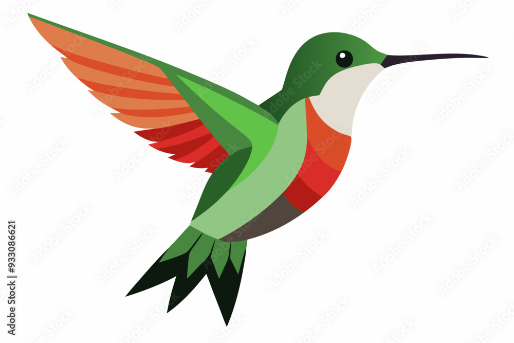 Humming bird vector art and illustration Humming bird vector art and illustration