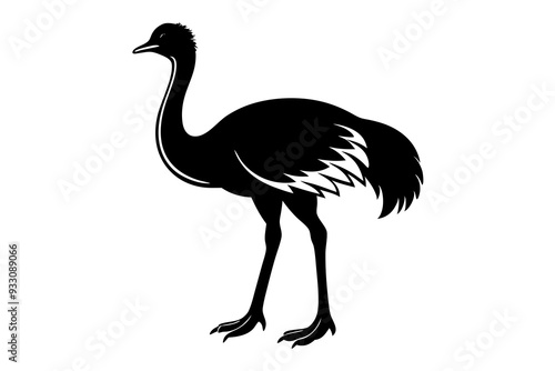 Ostrich Bird  vector art and  illustration  photo