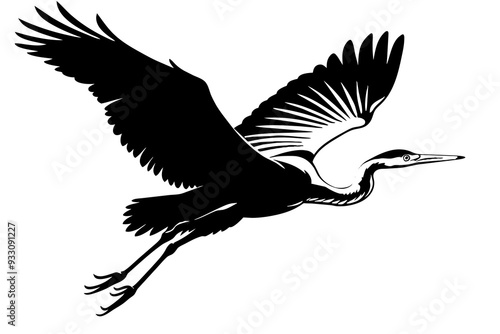 Heron bird vector art and illustration