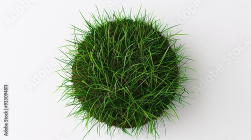 2. Isolated circular patch of grass with soil base, vibrant green grass, short blades, round shape, white background, minimalist composition, high contrast studio lighting, 3D render, photorealistic,