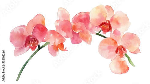 Hand painted watercolor illustration of an orchid on a white background Suitable for greeting cards invitations and various print projects