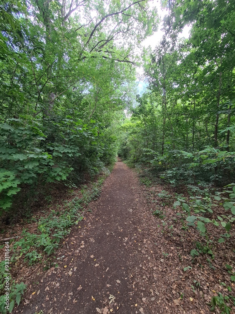 nature path in the Plänterwald Forest in Berlin Treptow/Köpenick nature path in the Plänterwald Forest in Berlin Treptow/Köpenick