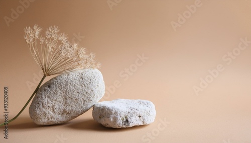 Abstract nature scene Stone podium composition and dry flower on beige brown background for cosmetic, beauty product branding, perfume, skin care and cosmetic backdrop. Copy space, front view photo