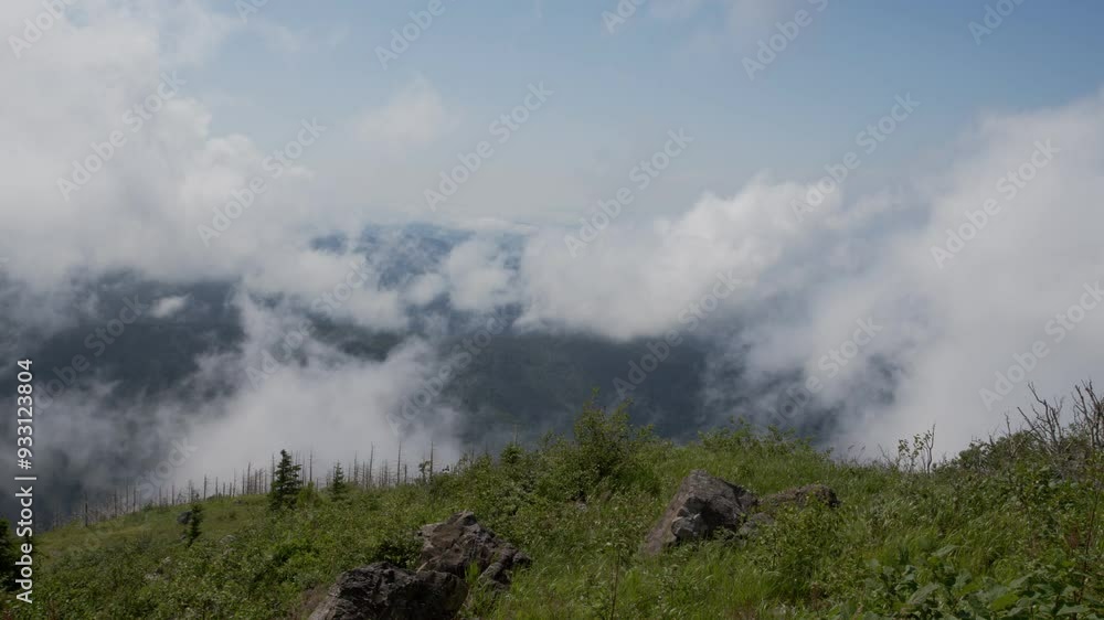 Fog rises in the mountains. Timelapse.