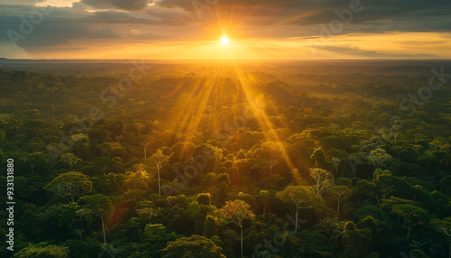 Golden sunset over the Amazon rainforest, highlighting the lush green landscape with shadows and light, captured from a drone's view high above the treetops. photo