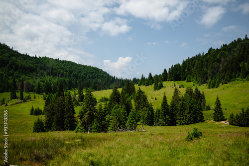 Expansive Green Meadow and Dense Forested Hills – Idyllic Summer Landscape with Rolling Hills and Blue Sky