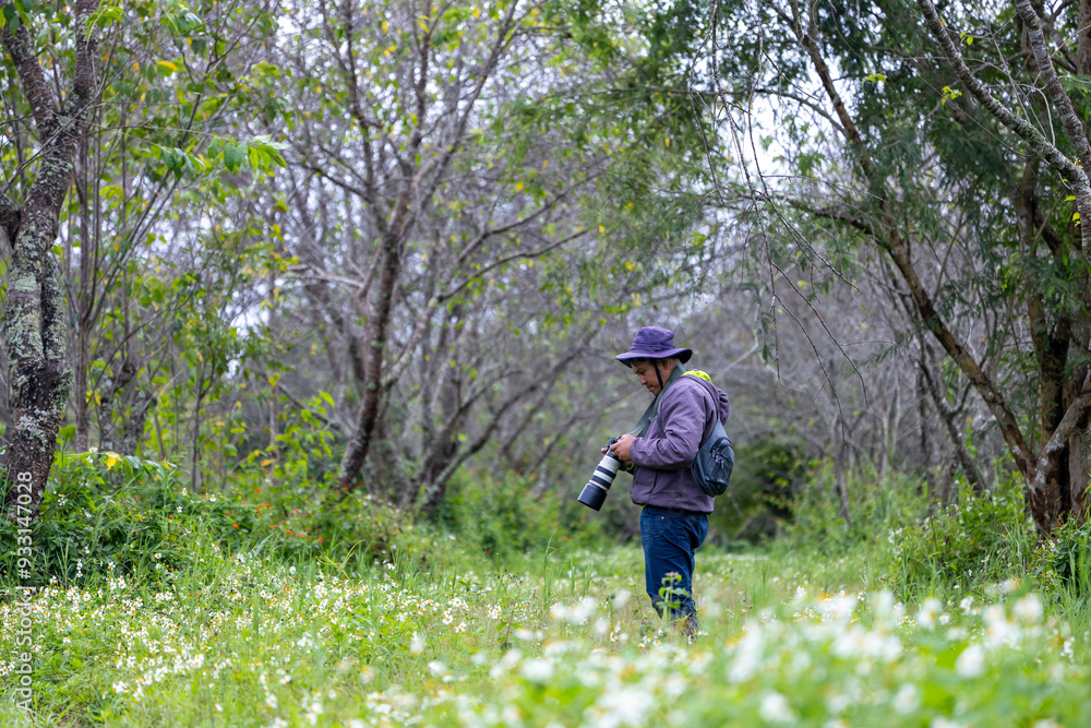 Photographer is taking photo while exploring in the woodland forest with wild flower meadow for surveying and locating rare biological diversity and ecologist on field study Photographer is taking photo while exploring in the woodland forest with wild flower meadow for surveying and locating rare biological diversity and ecologist on field study