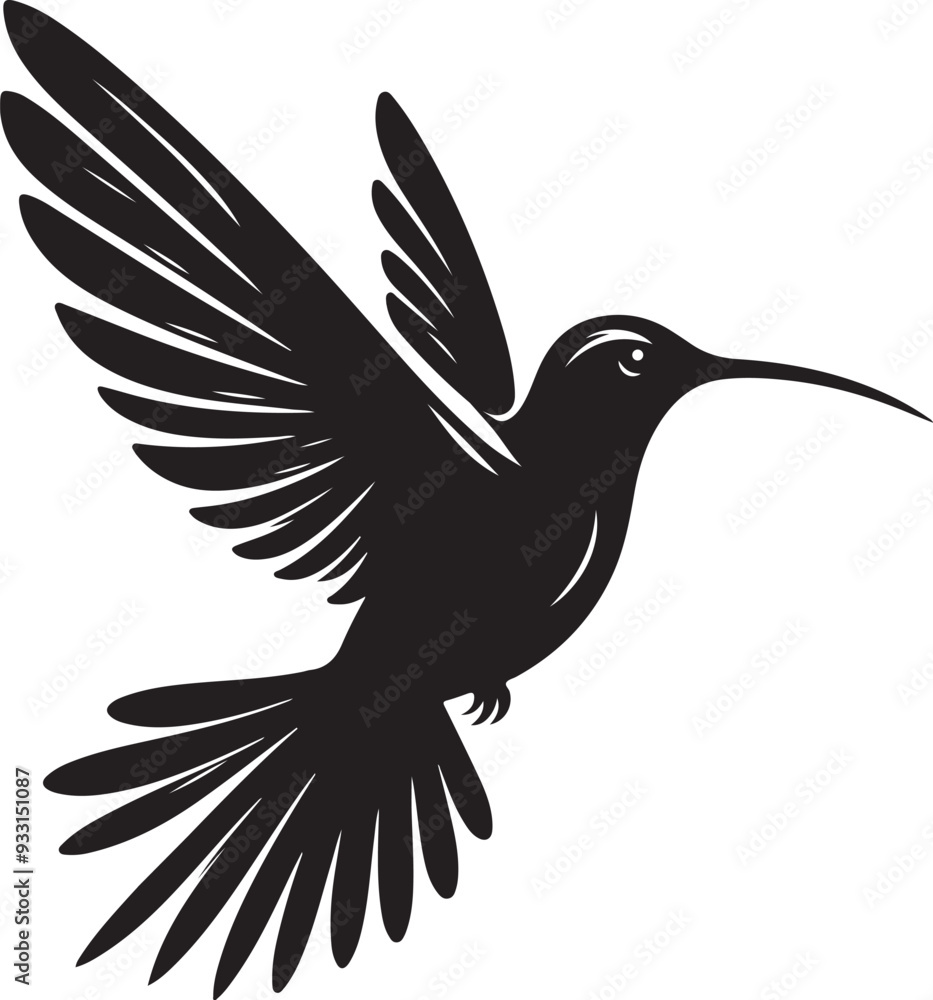 Obraz premium Hummingbird Silhouette and Illustration