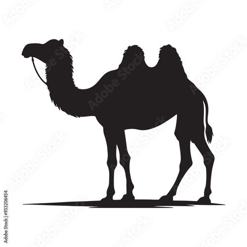 camel on the beach