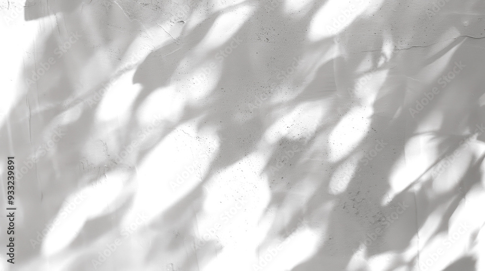 Shadow of tree leaves in the sun isolated on transparent background. PNG Shadow of tree leaves in the sun isolated on transparent background. PNG