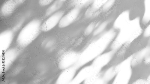 Shadow of tree leaves in the sun isolated on transparent background. PNG
