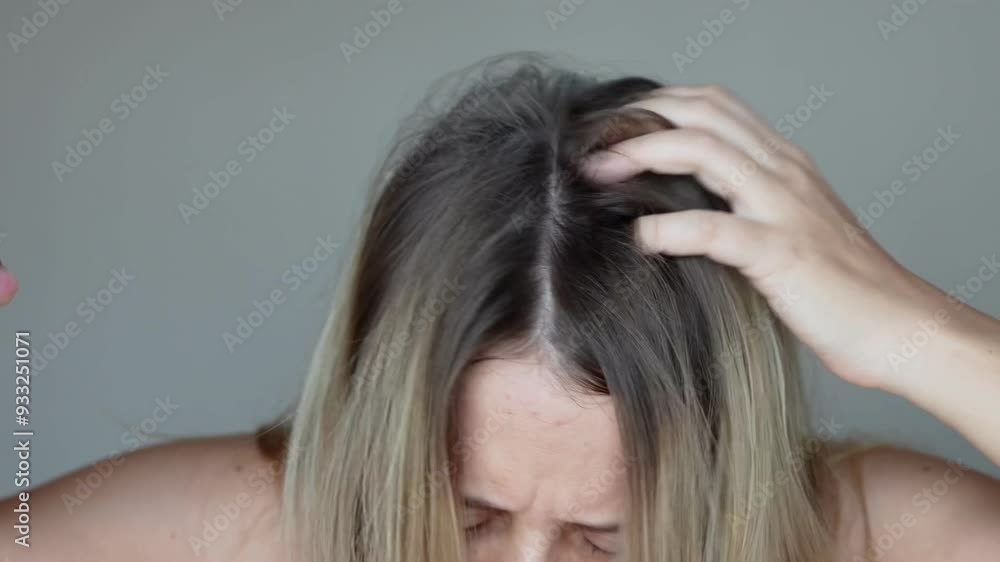 Young caucasian blonde woman with dirty greasy hair spraying dry shampoo on the roots of her hair rubbing it into the scalp with hands on a light grey background. A quick way to cleanse Young caucasian blonde woman with dirty greasy hair spraying dry shampoo on the roots of her hair rubbing it into the scalp with hands on a light grey background. A quick way to cleanse