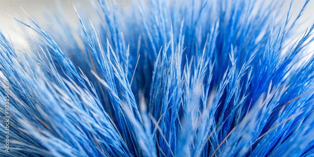 Obraz premium Vibrant blue fescue grass blades sway gently, forming a lush, textured border, isolated on a pure white background, perfect for contrast and design accents.