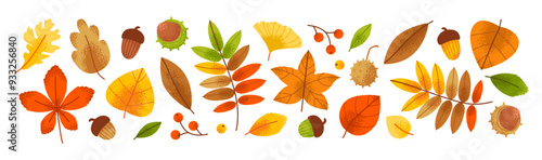 Autumn foliage with golden leaves and fall plant set. Greenery and forest elements in a contemporary style. Flat vector illustration