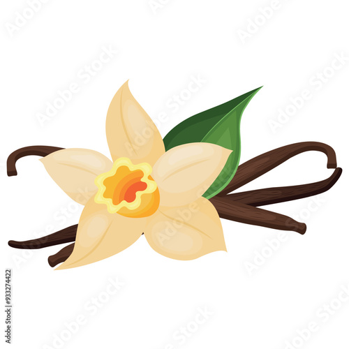 Vector image of vanilla. Concept of aromatic additive. For banners, websites, advertising, etc.
