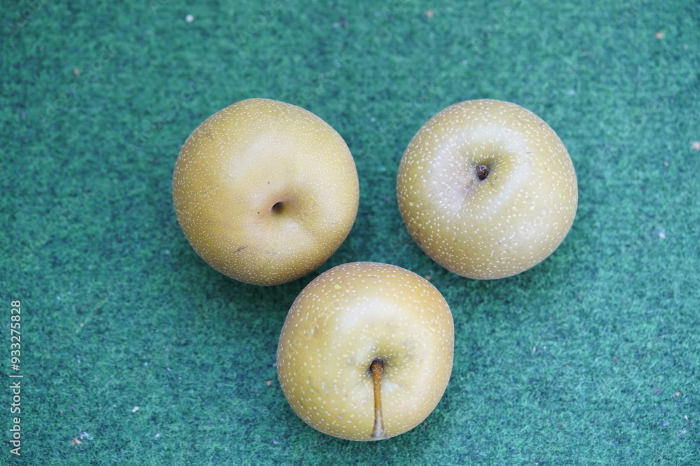 Nashi pear (Pyrus pyrifolia) Rosaceae family. Hanover, Germany. Nashi pear (Pyrus pyrifolia) Rosaceae family. Hanover, Germany.