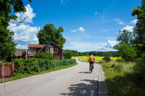 Picturesque rural landscape of Scandinavia, Man cycling on country road winding among yellow fields, forest and traditional Swedish red wooden house on summer sunny day, Västmanland, Sweden