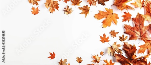 A white background with a large number of orange leaves scattered across it