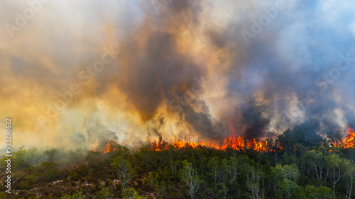 Obraz na płótnie Forest fires are burning the forests in summer.