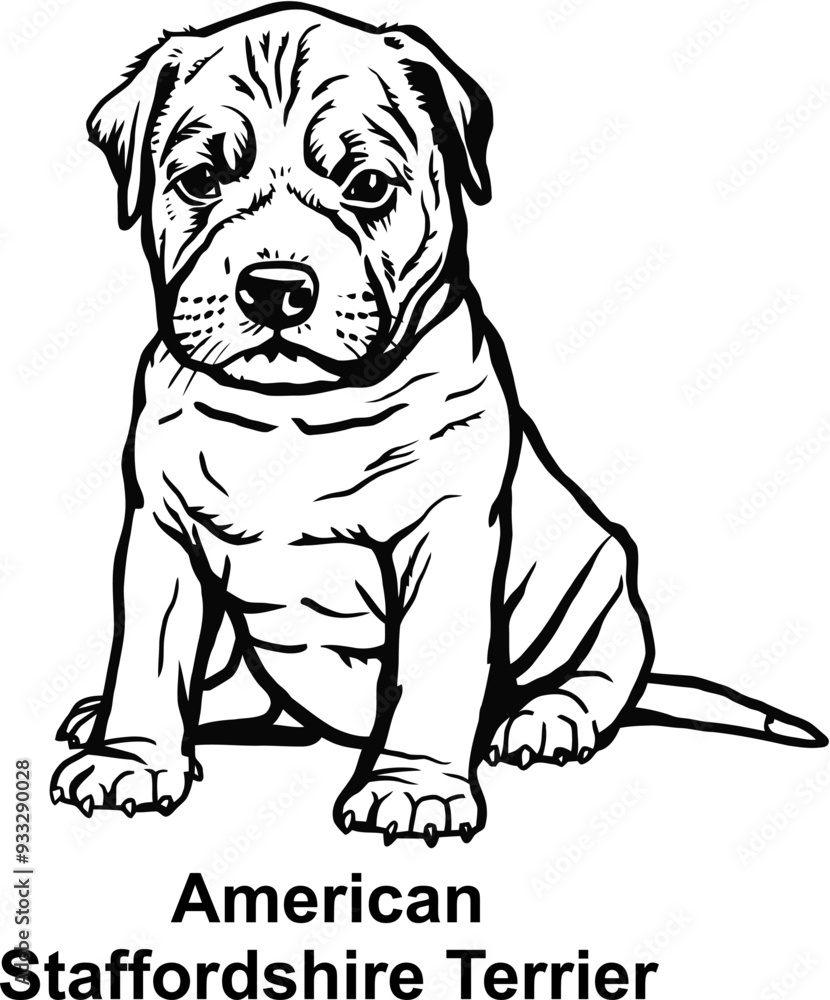 Puppy American Staffordshire Terrier - Dog Breed, Puppy Breed Vector File, detailed vector Puppy American Staffordshire Terrier - Dog Breed, Puppy Breed Vector File, detailed vector