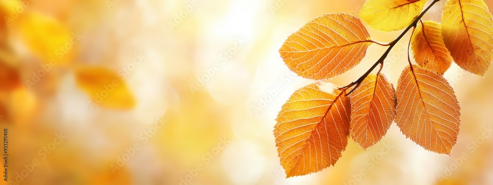 A tree branch with leaves in sharp focus in the foreground and a softly blurred backdrop of more leaves A tree branch with leaves in sharp focus in the foreground and a softly blurred backdrop of more leaves