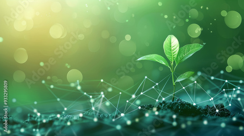 植物とグラフ