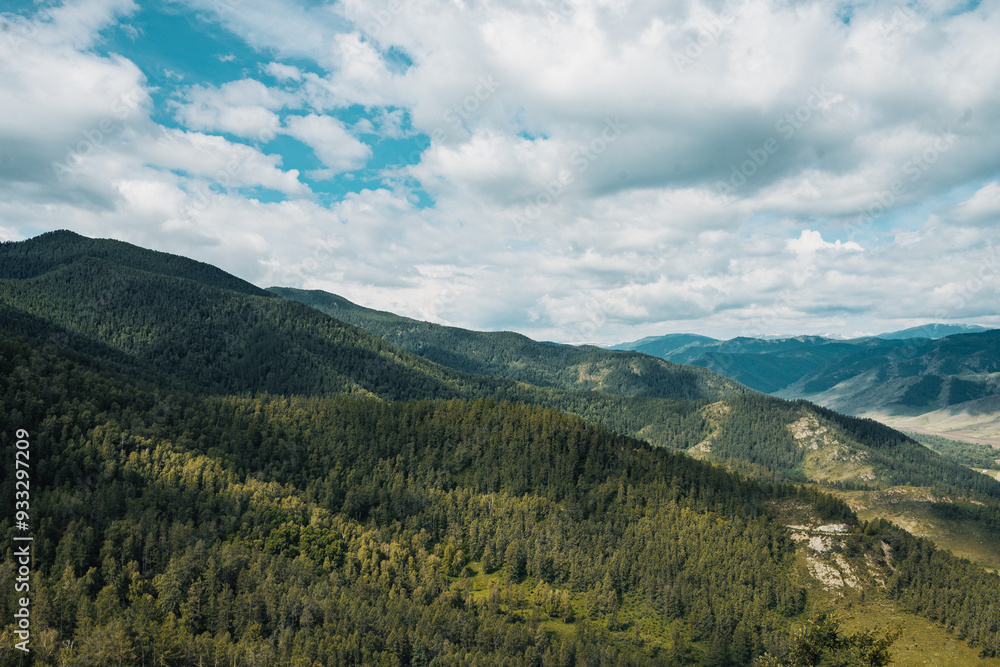 Expansive landscape of the Altai Mountains displaying forests and rolling hills under a bright blue sky with fluffy clouds Expansive landscape of the Altai Mountains displaying forests and rolling hills under a bright blue sky with fluffy clouds
