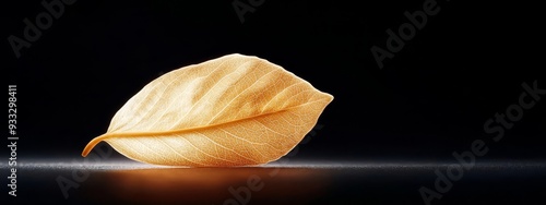  A lone yellow leaf atop a dark surface against a backdrop of unyielding black, illuminated by a nearby light photo