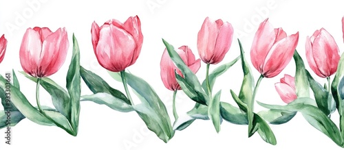 Hand painted watercolor border featuring pink tulips on a white background