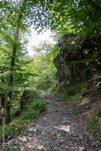 Main footpath in the Bode Gorge - Bodetal In German language - In The Harz Mountains In Germany