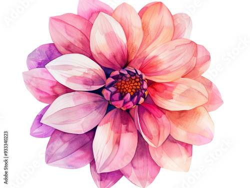 A vibrant and artistic watercolor flower illustration showcasing delicate petals in shades of pink and purple. photo