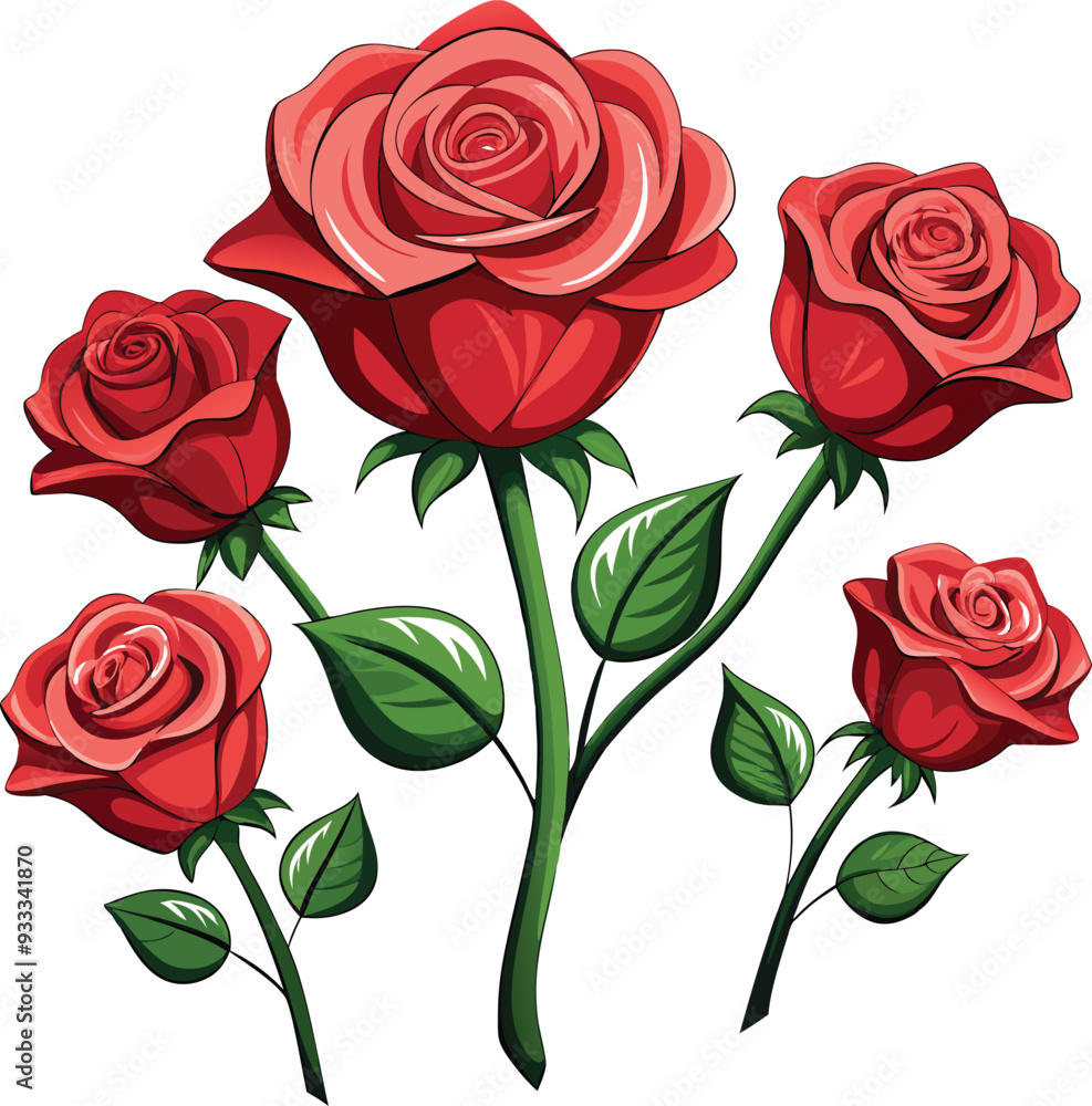 Fototapeta premium Rose vector illustration graphic Art design.