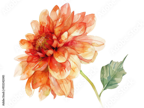 A vibrant orange dahlia flower showcasing intricate watercolor details, perfect for nature-themed designs and inspirations. photo