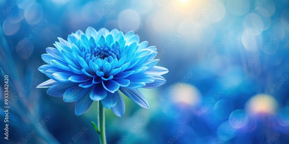 Obraz premium Blue flower against a blurred background, blue, flower, nature, background, garden, botanical, vibrant, beauty, colorful