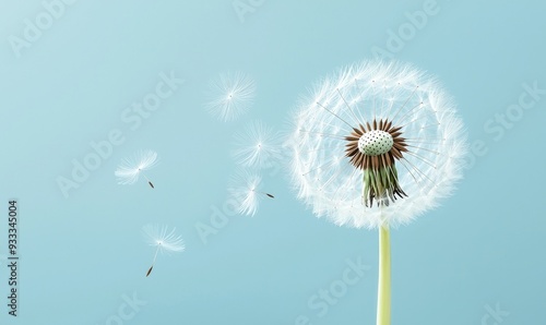 A close-up view of a dandelion flower with drifting seeds against a soft blue background, symbolizing nature and freedom.