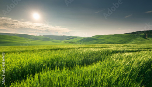 Close-Up of a Landscape with Green Fields