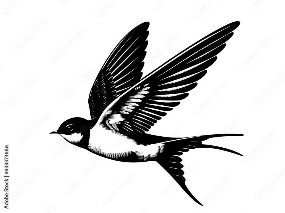 Fototapeta premium illustration of a flying swallow 