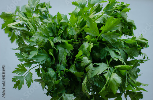 Fresh bunch of green parsley on a light blue background. Crisp, vibrant, and full of texture, perfect for culinary, natural, and health-related content