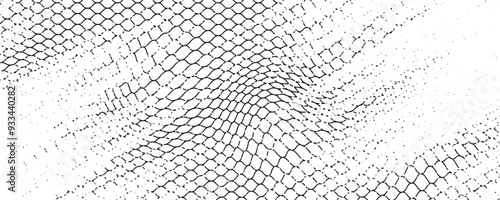 Black snake skin pattern isolated on white background eps 10
