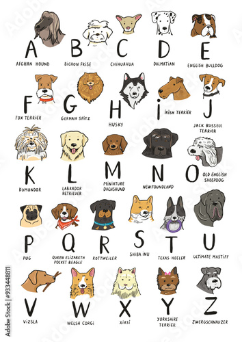 Funny dog heads breed collection illustrations alphabet.