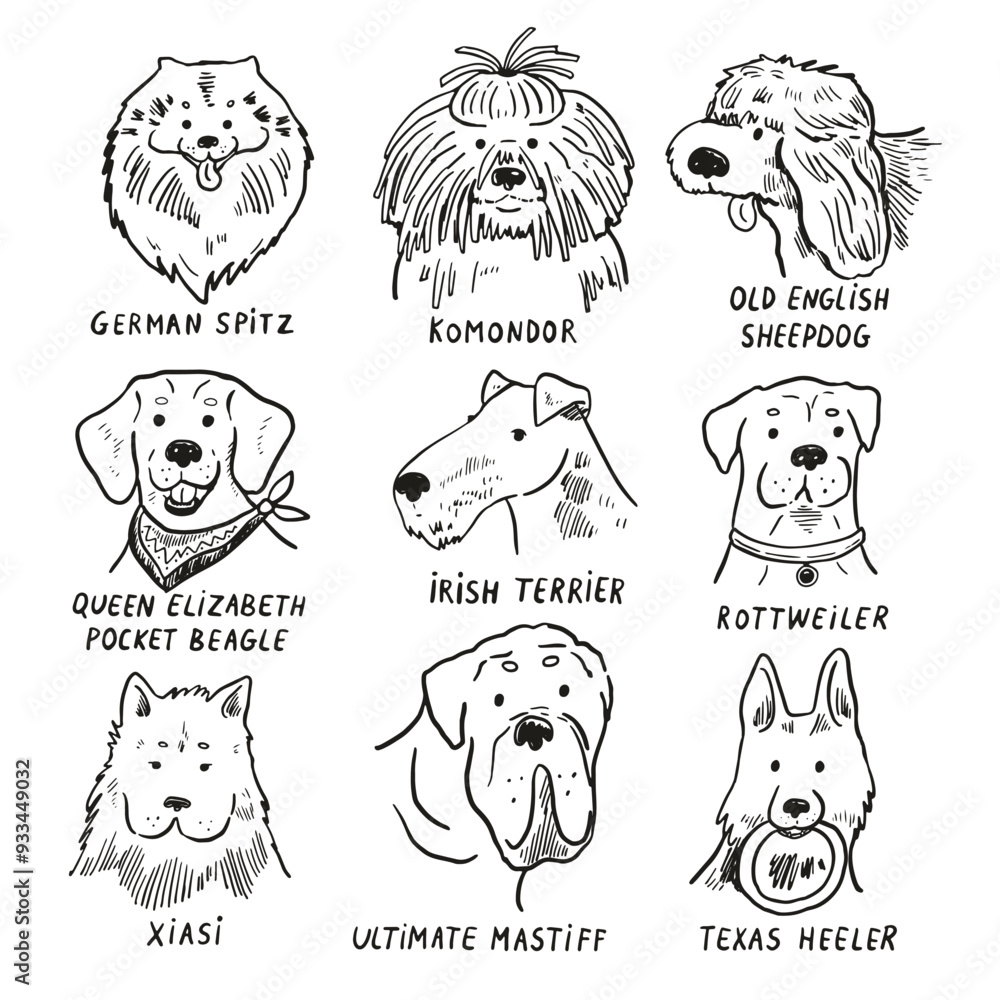 Obraz premium Funny dog heads breed collection illustrations line set.