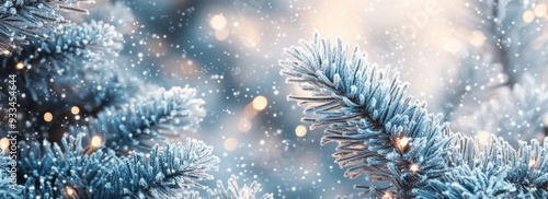 Snowy winter background with ice crystals, snowflakes, frosted pine branches, and blue sky with bokeh lights. Festive feel.