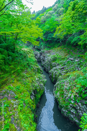 宮崎県　新緑の頃の高千穂峡 photo