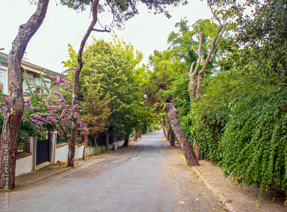 street of island adalar, prince islands istanbul street of island adalar, prince islands istanbul