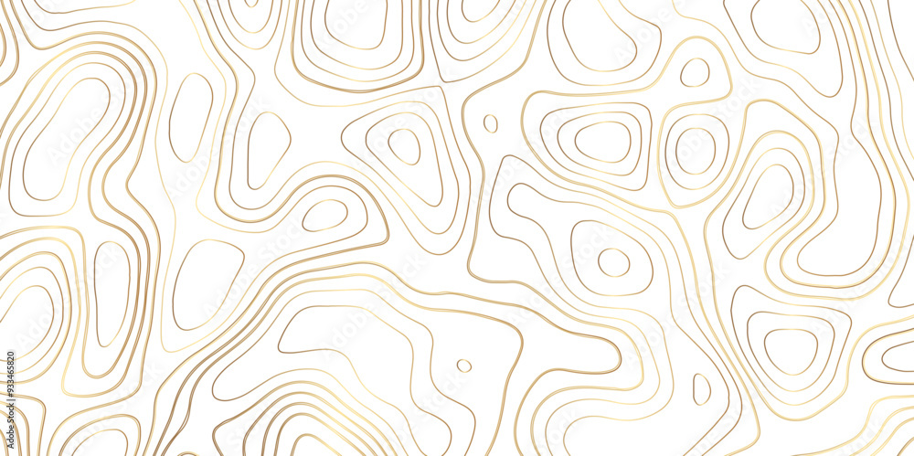 Topology and topography vector clean format contour map texture Topology and topography vector clean format contour map texture