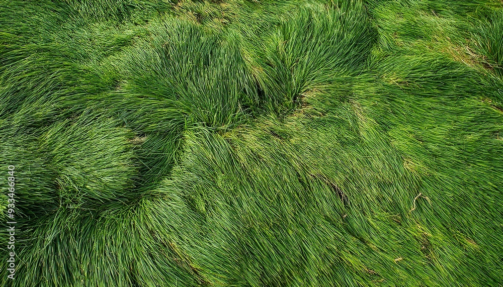 textura de grama cortada com pequenas falhas, vista de topo textura de grama cortada com pequenas falhas, vista de topo