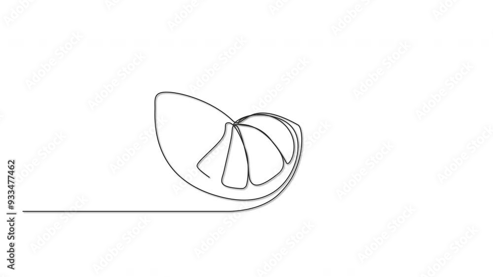 Citrus fruit silhouette self drawing line animation. Orange color. Citrus fruit silhouette self drawing line animation. Orange color.
