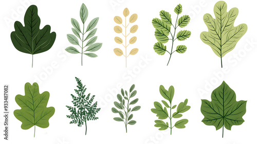 Minimalistic illustration collection of different green leaves and plants isolated on white background