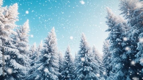 A pristine winter forest, where snow-covered trees stand tall and silent as delicate snowflakes gently fall from the sky