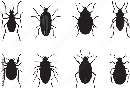 A set of insects. Hand drawn vector illustration 